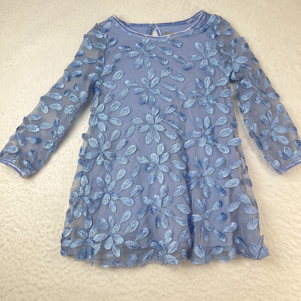 Genuine Kids OshKosh Light Blue Toddler Dress 3T Embroidered Flowere Button Back